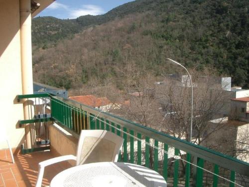 Studio Amélie-les-Bains-Palalda, 1 pièce, 2 personnes - FR-1-703-90