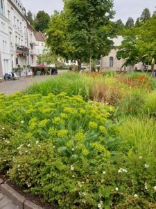 Appartement Studio an der Therme 36 Sophienstraße 76530 Baden-Baden Bade-Wurtemberg