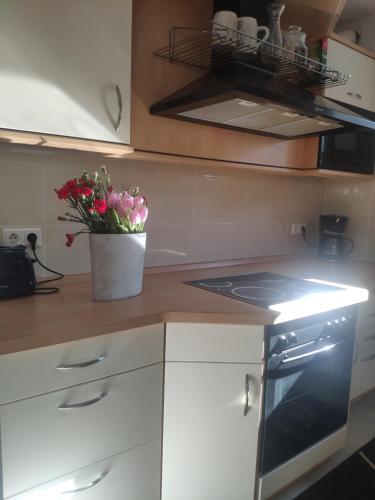 Studio Apartment Souterrain in Freiburg