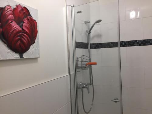 Studio-Apartment Sven