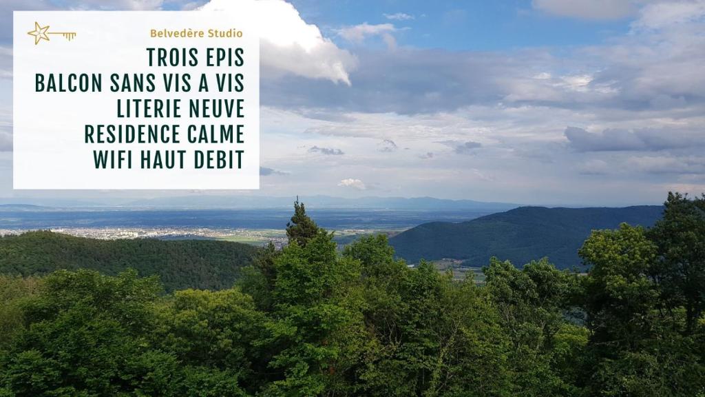 Studio-Appartement Neunburg vorm Wald 92431 Neunburg vorm Wald