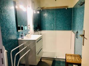 Studio Arcachon, 1 pièce, 4 personnes - FR-1-433-76