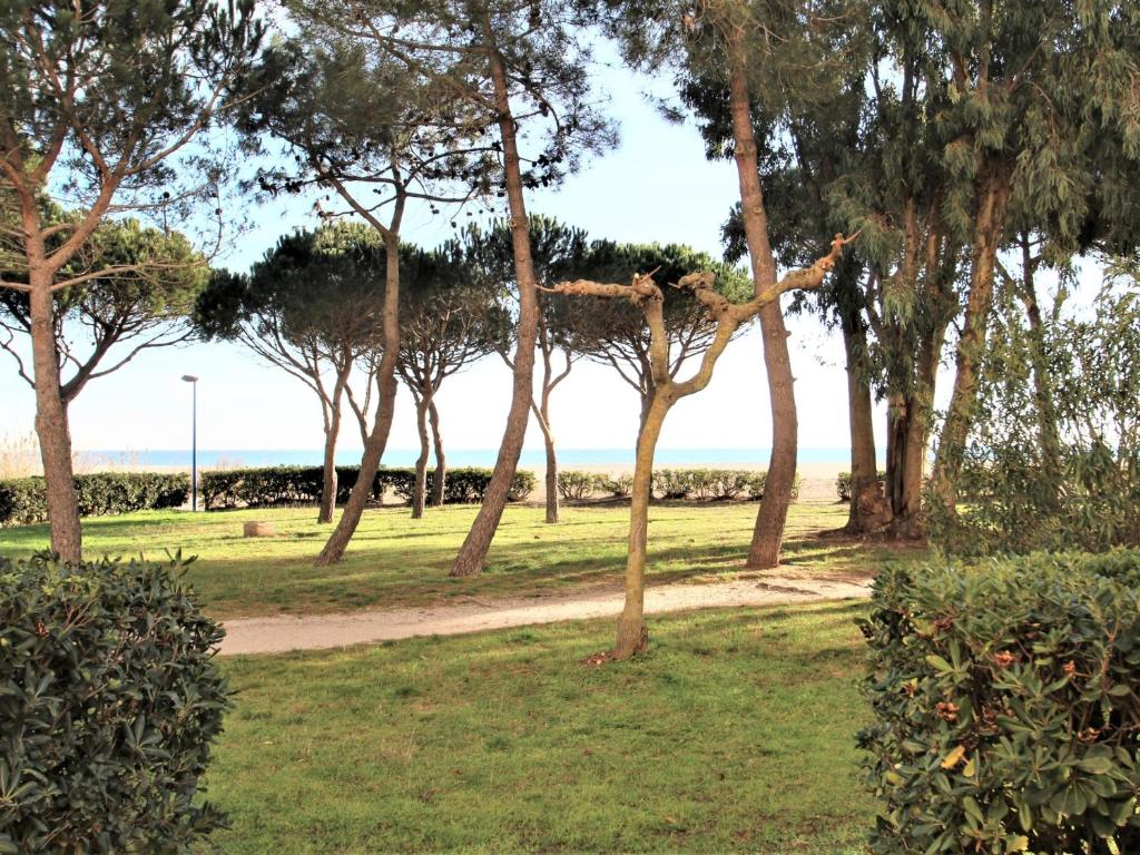 Appartement Studio Argelès-sur-Mer, 1 pièce, 4 personnes - FR-1-309-302 100 Boulevard de la Mer Résidence l'horizon BAT 1 APPT N°4 RDC BAS 66700 Argelès-sur-Mer