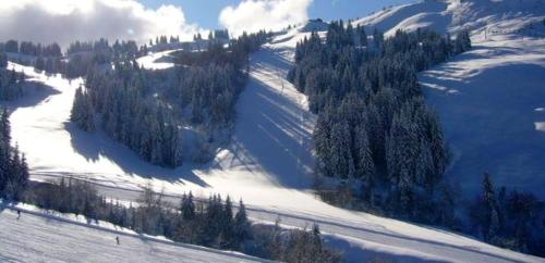 Studio at Les Gets 300 m away from the slopes with garden and wifi