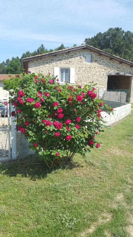 Appartement Studio au cœur de la nature 2051 Montée de la Garde 26260 Bren