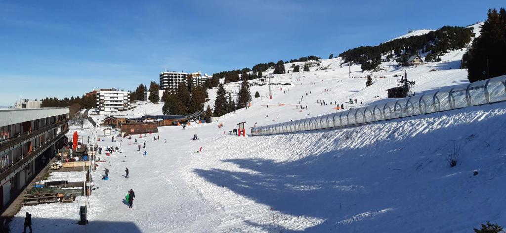 Appartement Studio au pieds des pistes 390 Avenue du Père Tassé 38410 Chamrousse