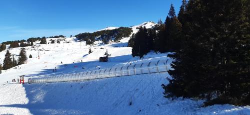 Studio au pieds des pistes
