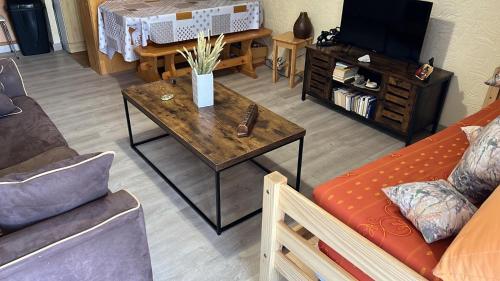 Studio aux pieds des pistes