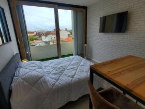 Appartement Studio avec balcon, vue sur jardins et cathédrale 88 Rue de Jarlard 81000 Albi Midi-Pyrénées