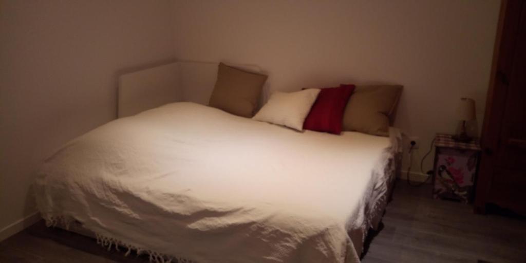 Studio avec jardin au pied du Revard dans villa 6 Chemin des Massonnat, 73100 Aix-les-Bains