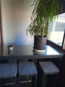 Studio avec piscine partagee jardin clos et wifi a Frejus a 2 km de la plage