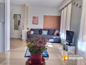 Appartement Studio avec terrasse au coeur de l'Ardèche 30 Rue Camille Arnaud 07300 Tournon-sur-Rhône Rhône-Alpes