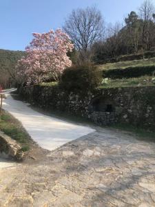 Studio avec terrasse dans mas historique cevenol