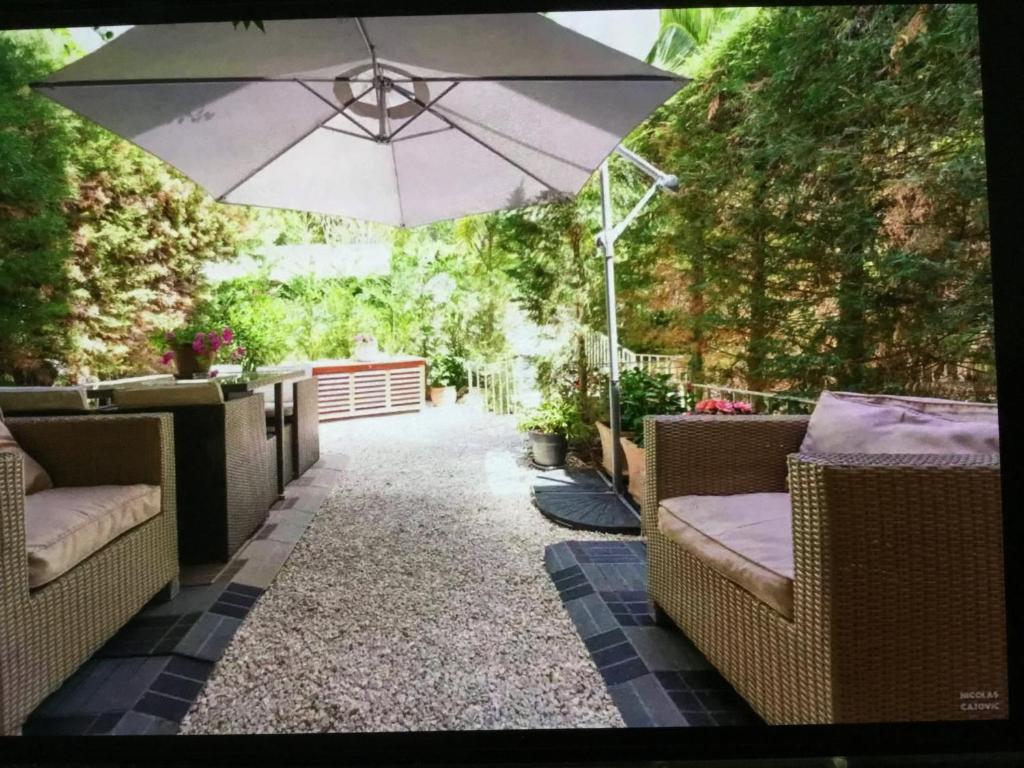 Studio avec terrasse et jardin au calme 47 Avenue du Roi Albert 1er, 06400 Cannes