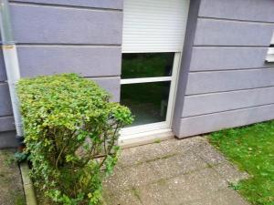 Studio avec terrasse et wifi a Strasbourg