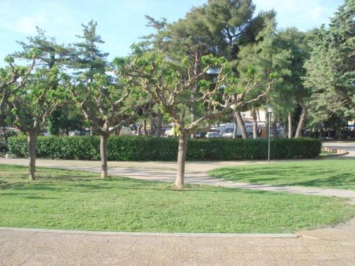 Studio Balaruc-les-Bains, 1 pièce, 2 personnes - FR-1-503-56