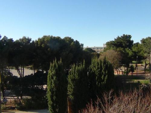 Studio Balaruc-les-Bains, 1 pièce, 2 personnes - FR-1-680-23