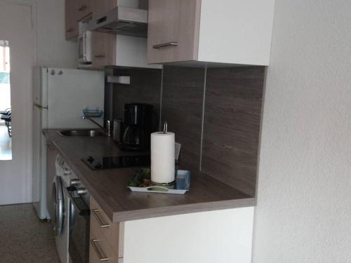 Studio Balaruc-les-Bains, 1 pièce, 2 personnes - FR-1-680-23