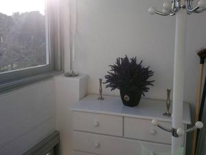 Studio Balaruc-les-Bains, 1 pièce, 2 personnes - FR-1-680-23
