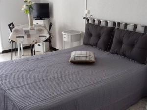 Studio Balaruc-les-Bains, 1 pièce, 2 personnes - FR-1-680-23