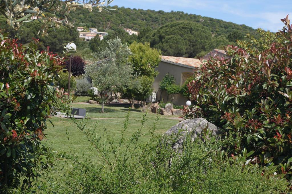 Studio Banyuls-sur-Mer, 1 pièce, 2 personnes - FR-1-309-323 66650 Banyuls-sur-Mer