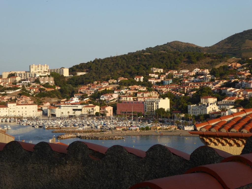 Studio Banyuls-sur-Mer, 1 pièce, 2 personnes - FR-1-309-323 Rue Carrer des Penyes blanques Résidence Albatros rez de chaussée, 66650 Banyuls-sur-Mer