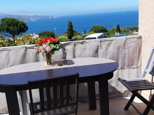Studio Banyuls-sur-Mer, 1 pièce, 4 personnes - FR-1-309-90