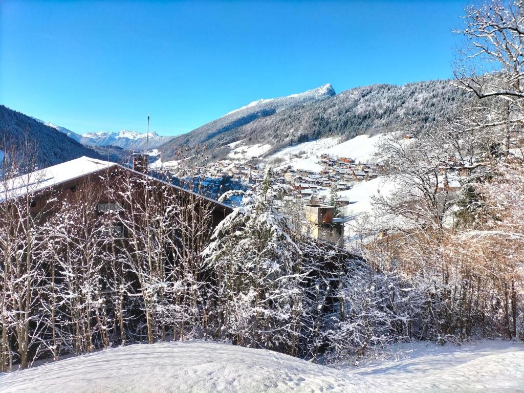 Appartement Studio belle vue sur les montagnes 167 Impasse du Belvédère 74450 Le Grand-Bornand