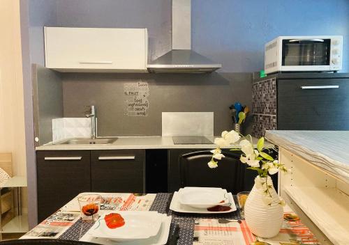 STUDIO BERTHOLLET 25 au coeur d'Aix les Bains