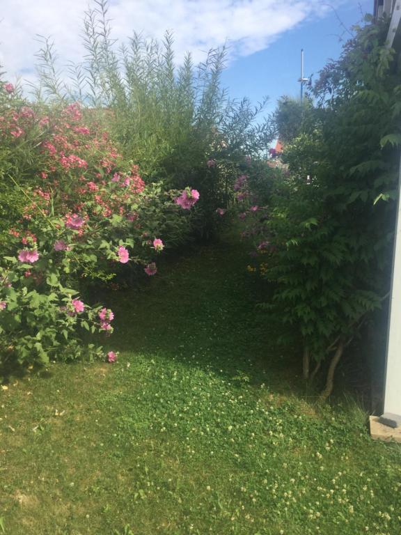 Studio Betiko Ametsa 64250 Cambo-les-Bains