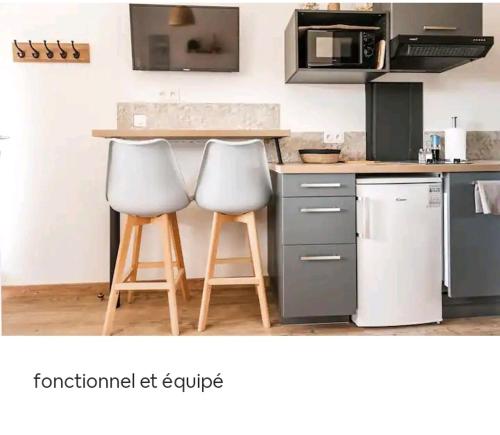 STUDIO BISCARROSSE PLAGE