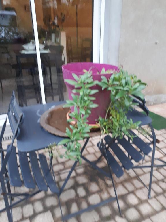 Studio bord de mer 20230 San-Nicolao