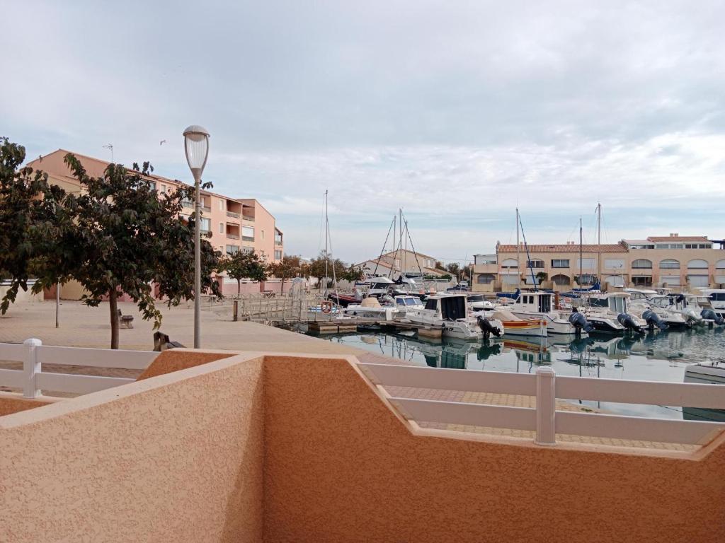 Appartement STUDIO CABINE 2 Impasse des Cormorans 34110 Frontignan