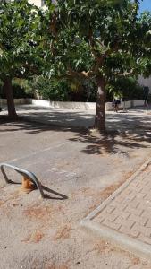 Studio cabine climatisé rez de jardin plage 150m Boucanet