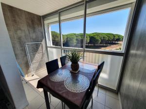 Appartement Studio cabine mer et pinède 26m2: 4pers, neuf, cosy 557 Avenue du bois Couchant 34280 La Grande Motte Languedoc-Roussillon