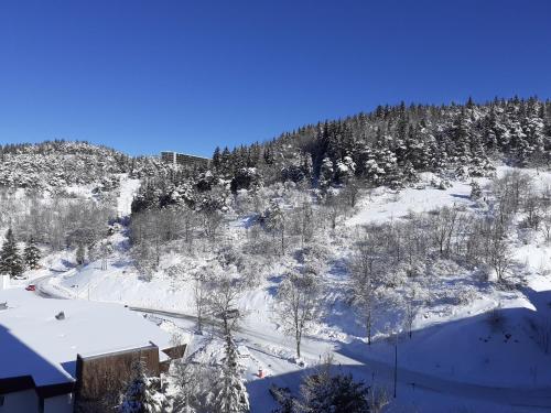 STUDIO CABINE VILLARD DE LANS COTE 2000