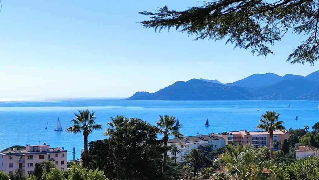 Studio cabine vue mer, piscine panoramique, parking couvert 33 Avenue Amiral Wester Wemyss, 06150 Cannes