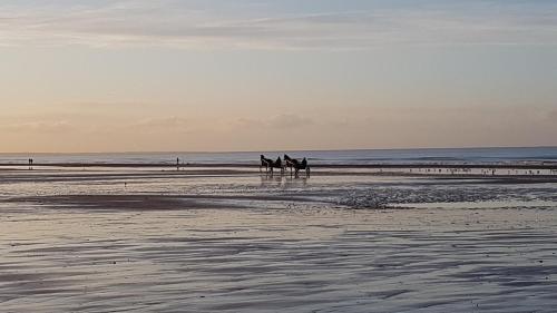 Studio CABOURG vue mer