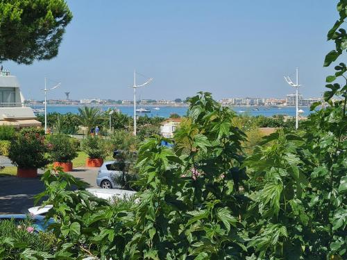 Studio calme à 50m de la plage et petite vue mer