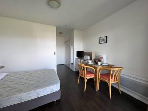 Studio Cambo-les-Bains, 1 pièce, 2 personnes - FR-1-495-100