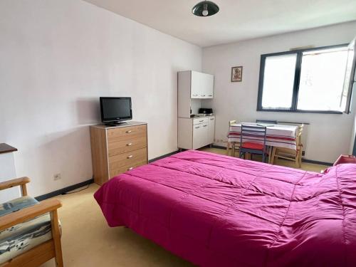 Studio Cambo-les-Bains, 1 pièce, 2 personnes - FR-1-495-120