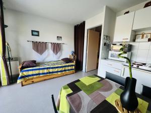 Studio Cambo-les-Bains, 1 pièce, 3 personnes - FR-1-495-64