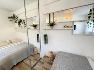 Appartement Studio Cannes, 1 pièce, 2 personnes - FR-1-470-61 75 Boulevard de la Croisette Résidence Le Rabelais 06400 Cannes Provence-Alpes-Côte d\'Azur