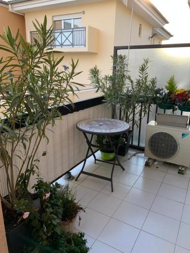 Studio Cannes les Allées