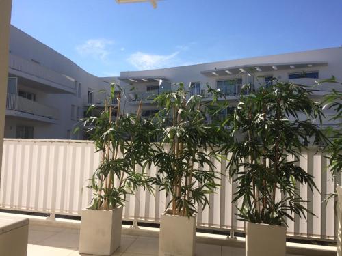 Studio Cannes Maria