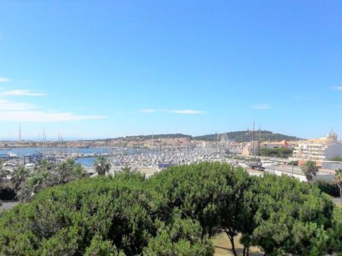 Studio Cap d'Agde, 1 pièce, 4 personnes - FR-1-607-71