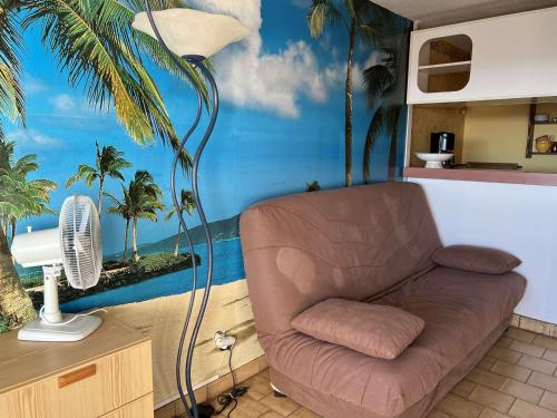 Studio Cap d'Agde, 1 pièce, 4 personnes - FR-1-702-11