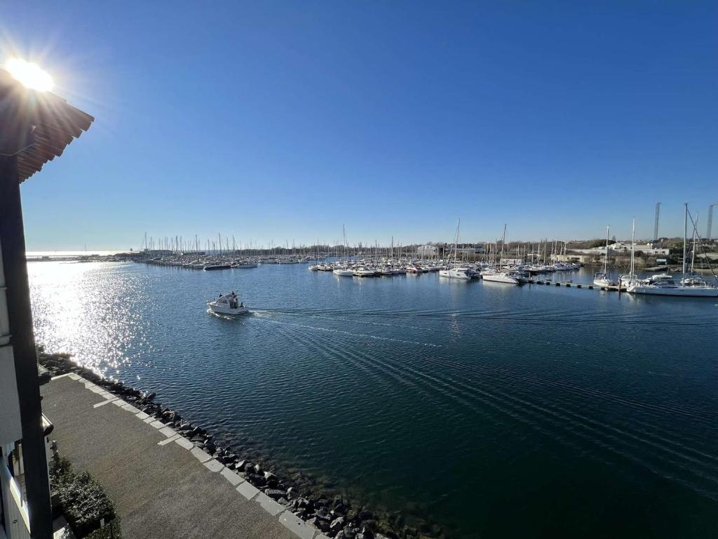 Studio Cap d'Agde, 1 pièce, 4 personnes - FR-1-702-28 RUE DE LA TOISON D'OR BAT B - APPT 363 - 3EME, 34300 Le Cap d\'Agde