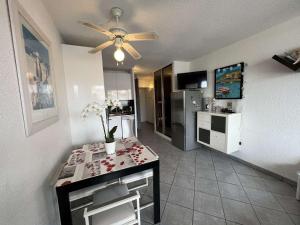 Studio Cap d'Agde, 1 pièce, 4 personnes - FR-1-702-34
