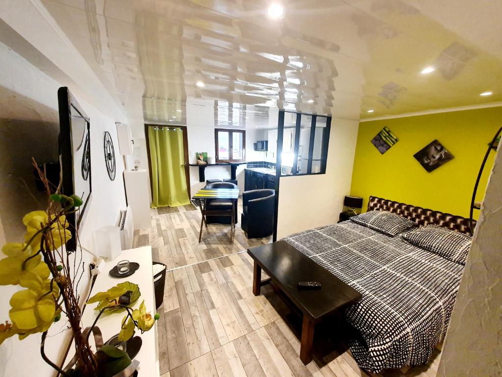 Studio Cap d'Agde, 1 pièce, 4 personnes - FR-1-702-41